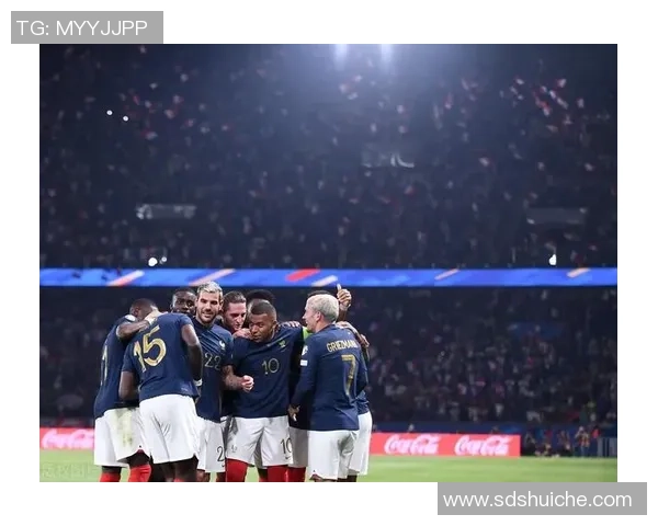 法国队与爱尔兰足球对决精彩回顾与赛后分析 法国队与爱尔兰足球对决精彩回顾与赛后分析