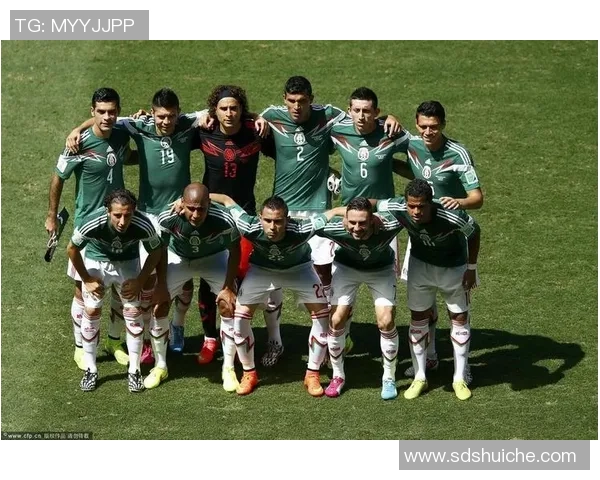 荷兰与墨西哥比赛数据分析及统计对比详解