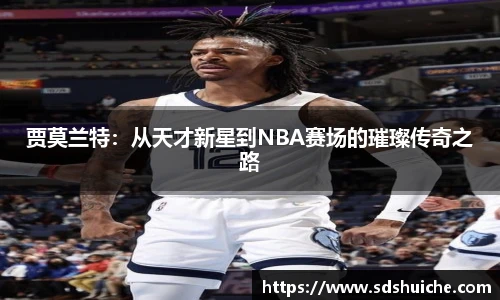 z6com尊龙凯时