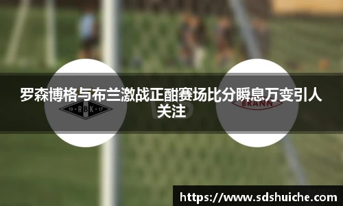 罗森博格与布兰激战正酣赛场比分瞬息万变引人关注